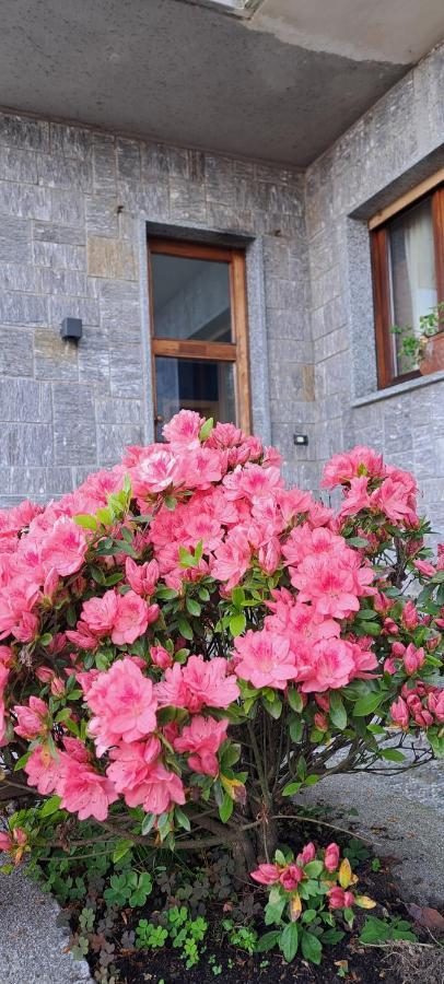 Villa La Serra Baveno Exterior foto